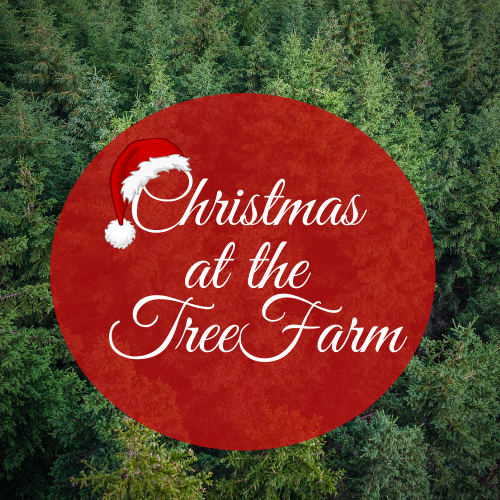 Christmas at the Tree Farm