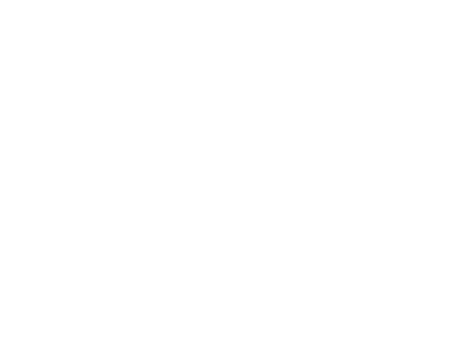 Goosebumps Music